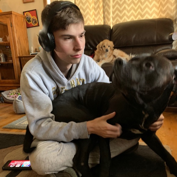 Meet your Posher, Loryn - Picture 1 of 1